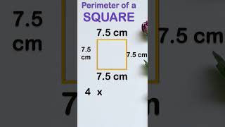perimeter of  square | #shorts #shortvideo #viral #trending #mathsshorts