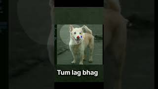 Follow For More Tips 😀😃   #TechLife#DigitalTransformation#Innovation#StartupTech#TechCommunity