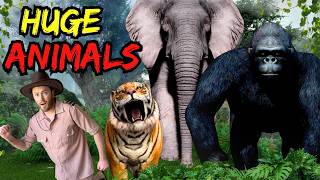 Giant Animal Adventure with Explorer Riley | Interactive Stories for Kids | Kids Adventure Stories