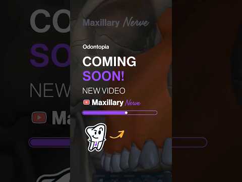 📢New video - June 2nd at 4:00 PM - The Maxillary Nerve: BEST 3D Anatomical Guide🦷 #dentaleducation