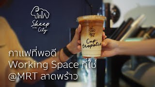 เปิดตัว!! ร้านกาแฟ Sheep in the City คู่หูข้างกาย ของ AppleSheep พร้อมเสิรฟ์แล้วที่ MRT ลาดพร้าว