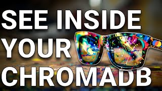 Discover The Secrets Of Your Chromadb