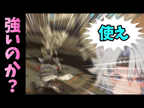 [Narushio] How to use the lion dance
