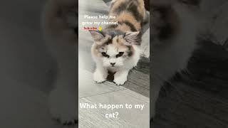 what Happen to my Cat? #cat  #catproblems