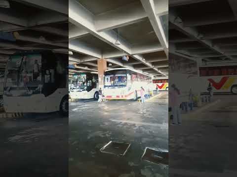The Buses Inside The Terminal #ytc #shorts #terminal