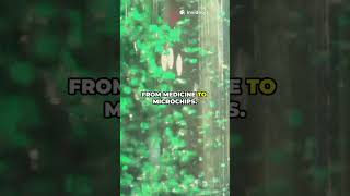 Bubble Dynamics: The Science Behind Detachment!  #researchawards #futureofengineering #sciencefather