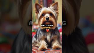 Yorkshire Terrier: Yorkie History Unleashed