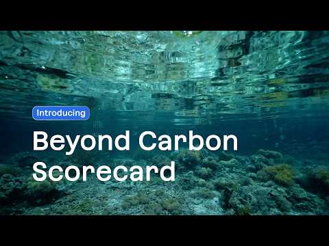 Beyond Carbon Scorecard | BeZero Carbon