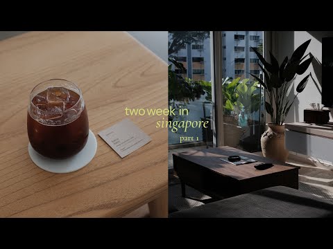 two weeks in singapore | reunions, bar hopping, vegan food quest 🇸🇬