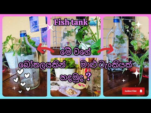 පාඩම් කරන මේසෙන් තියන්න අයින් කරපු බෝතලයකින් මාළු ටැංකියක් හදමුද?🐳💗 mini fish tank 🌈✨#viral#fishtank