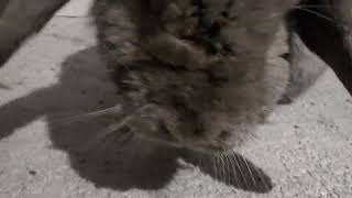 Mikey sad for Amara Nallo