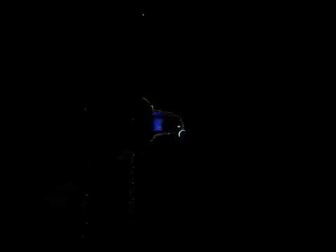 Sadguru Bengaluru Ashram