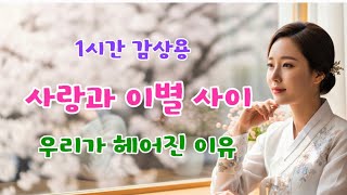 🎵 사랑과 이별 사이 🌸 우리가 헤어진 이유 | 감성트로트 1시간 연속듣기 | 카페·드라이브·힐링 음악