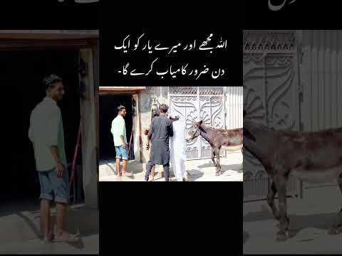 Ak mera yara ek ode yari 🥺 inshallah ham ak din zaroor kambyab ho ga 🤲