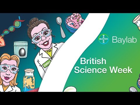 Baylab : How to make a Bouncy Egg and other Eggs-periments