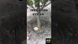 Drip Irrigation System for Plants/Orchard. #irrigationsystem #drip #rain #agriculture #farmhouse