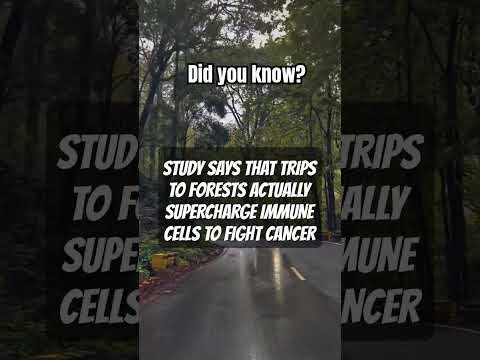 ✅Travel More and heal✅#trendingshorts #bollywood #love #song#music #food#facts #travel#viralvideo