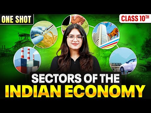 Sectors of Indian Economy Class 10 One Shot | Class 10 Economic Chapter 2 | SST | Ujjvala Punj
