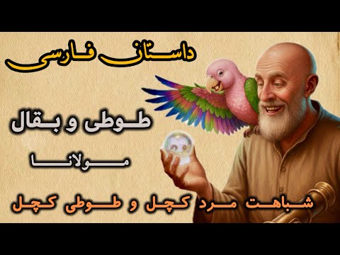 طوطیِ کچل و درس زندگی از مولانا | حکایتی با طنز و معنا