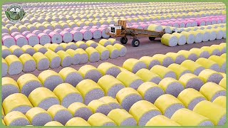 How Million Tons of Cotton Are Processed – Massive Cotton Farming For Fabric