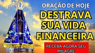 🙏🌿 I ACHIEVED MY FINANCIAL MIRACLE AFTER THIS PRAYER | OUR LADY OF APARECIDA