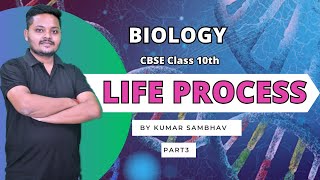 Life Process Part-3 | Photosynthesis | Class 10 Science Biology | CBSETPOINT