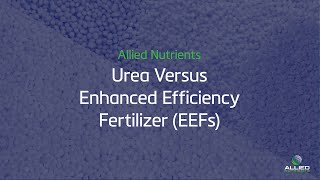 Urea VS. Enhanced Efficiency Fertilizers (EEFs) | Understanding EEFs
