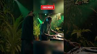 Dub Ganja Grooves, Jah Blessings / Reggae Vibes & Dub Music