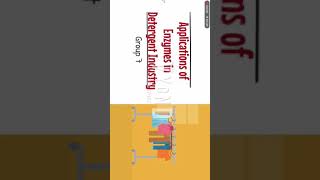 Application of Enzymes in Detergent Industry