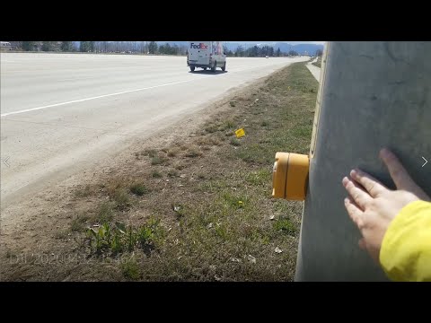 Where Is The Pedestrian Button?