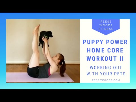 Puppy Power Home Core Workout II