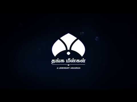 Thanga Meengal | Thirunelveli