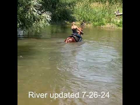 River updated video (Sold)
