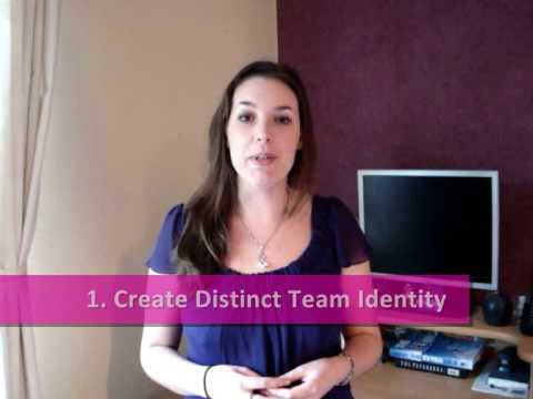 What makes a team work well?