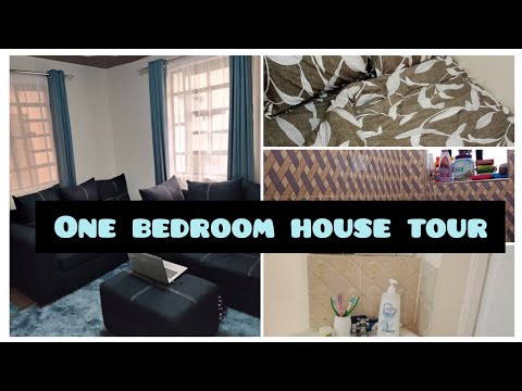 One Bedroom House Tour!