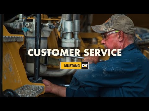 Mustang Cat Presents - Let's Work Together: Customer Service
