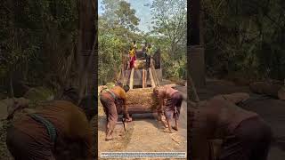 Efficient Methods For Loading Large Logs Onto Trucks #job #skills #smart #tools #tips