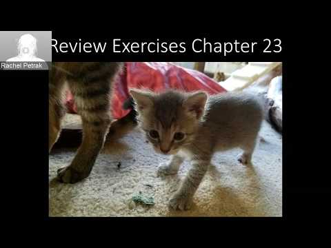 Stats Lecture Chapter 23 The Accuracy of Averages Exercises