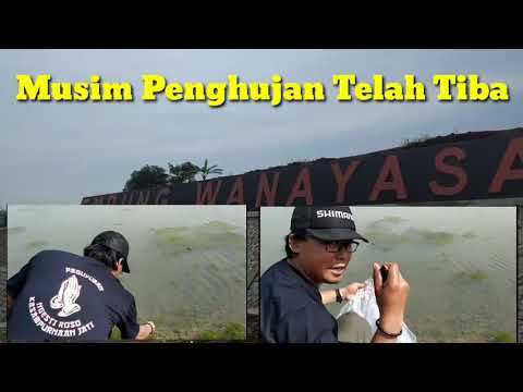 Menebar Benih Ikan di Bendungan Wanayasa