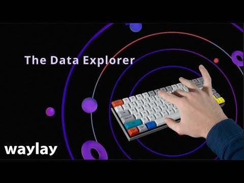 The Basics of Waylay: The Data Explorer