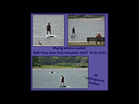 24 8 2022 M Lookout Park 2