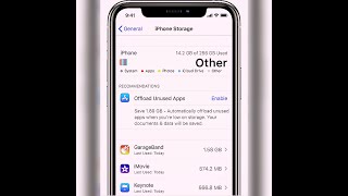 How to clear “Other” storage in iPad OS and iOS