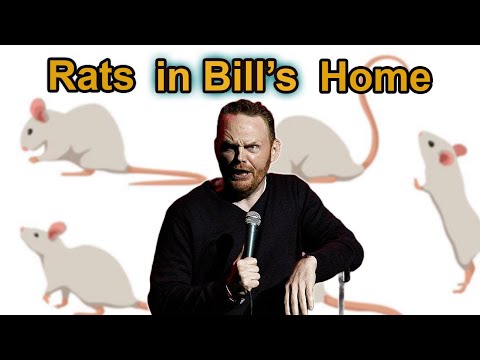 Bill Burr - Bill has a Rat in his House