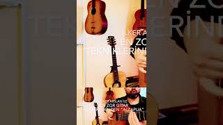 GİTARIN MASTER TEKNİĞİ “ALZAPUA”
