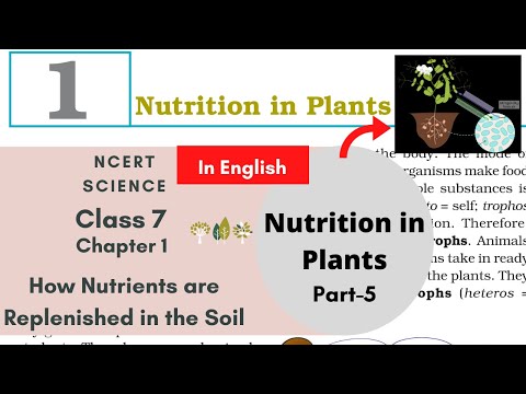 How Nutrients are Replenished in the Soil-Nutrition in Plants(Part-5) Class 7 Chapter 1 Science