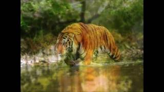 Top 10 most beautiful places in BANGLADESH