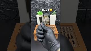 Would you try this saving method?🤔 #savings #savingmoney #savemoney