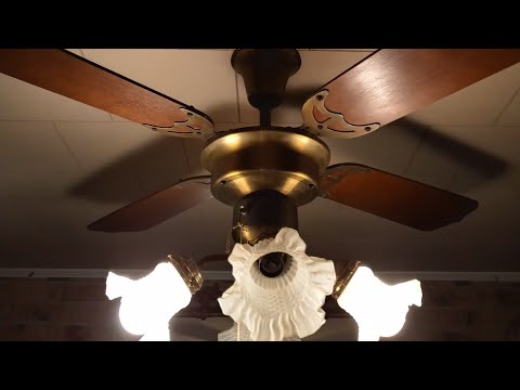 No One Knows This Is a Good Fan