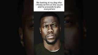 Kevin Hart Meme