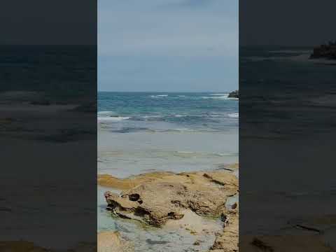 Seaview #calmingsounds #seabreeze #australia #victoria #